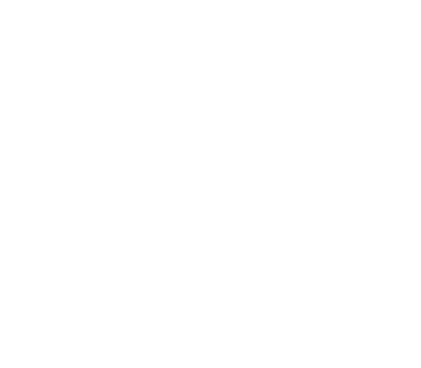 Inteck's Logo